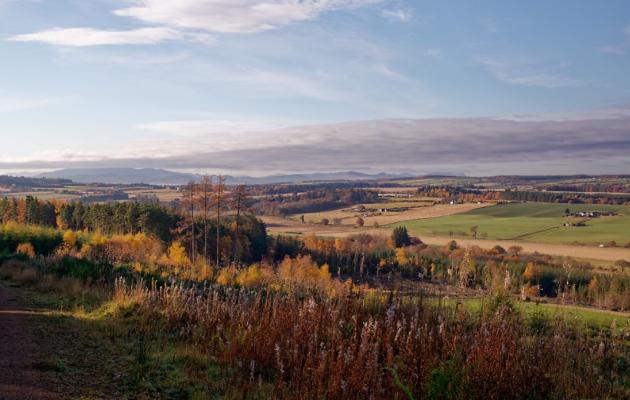 Overlooking the Black Isle