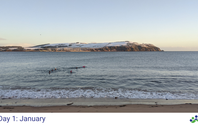 Image of sea swimmers in January