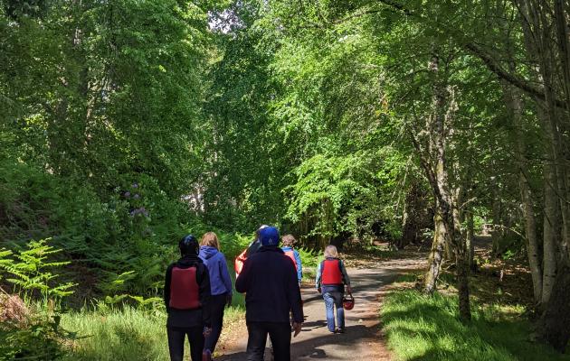 Image of people walking through a wood