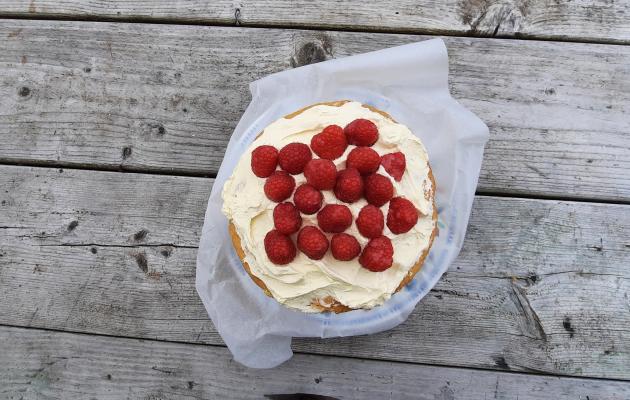 rasberry cake