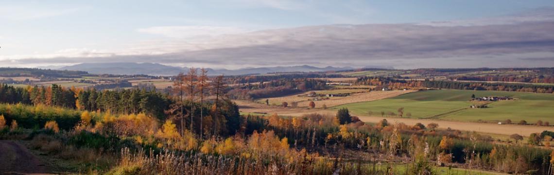 Overlooking the Black Isle